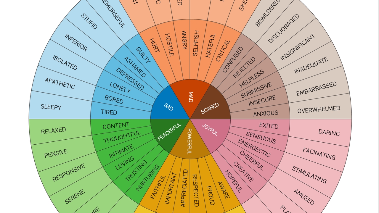 The Feeling Wheel