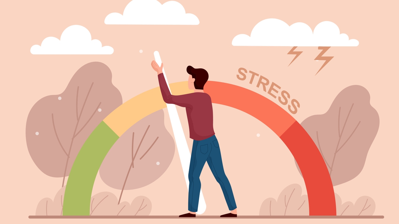 5 Things You Should  Know About STRESS